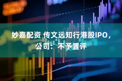 妙嘉配資 傳文遠(yuǎn)知行港股IPO，公司：不予置評(píng)