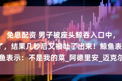 免息配資 男子被座頭鯨吞入口中，他以為自己要死了，結果幾秒后又被吐了出來！鯨魚表示：不是我的菜_阿德里安_邁克爾·帕卡德_海洋