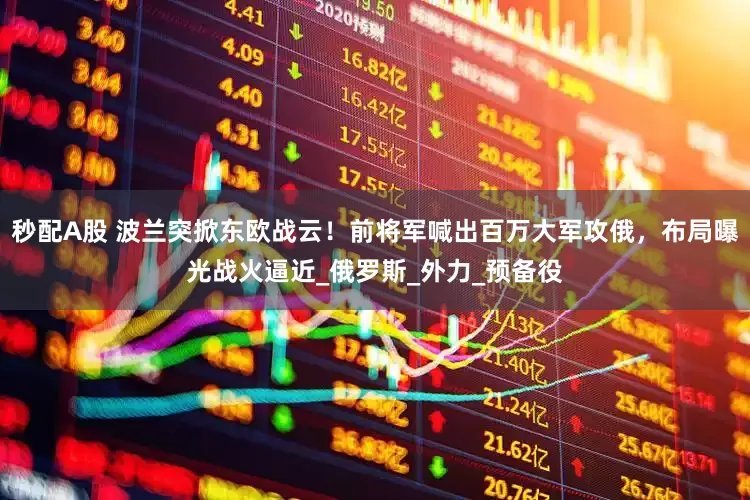秒配A股 波蘭突掀東歐戰云！前將軍喊出百萬大軍攻俄，布局曝光戰火逼近_俄羅斯_外力_預備役