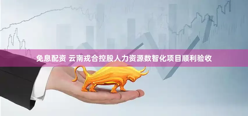免息配資 云南戎合控股人力資源數智化項目順利驗收