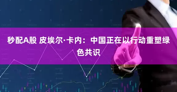 秒配A股 皮埃爾·卡內(nèi)：中國正在以行動重塑綠色共識